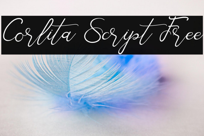 Corlita Script Free Example 1