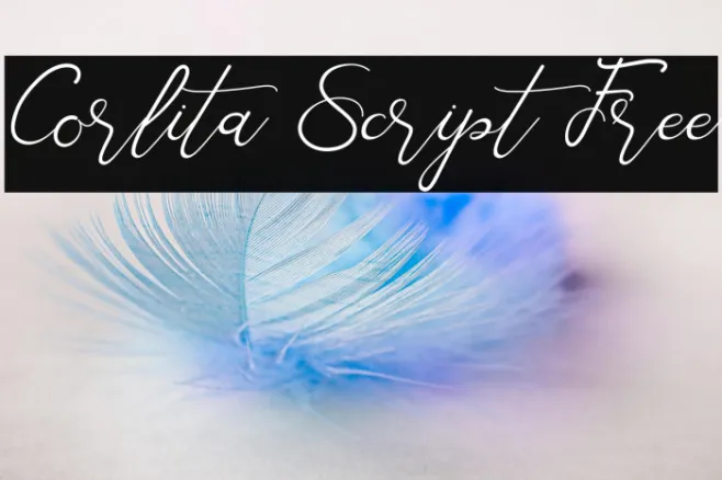 Corlita Script Free Example 1