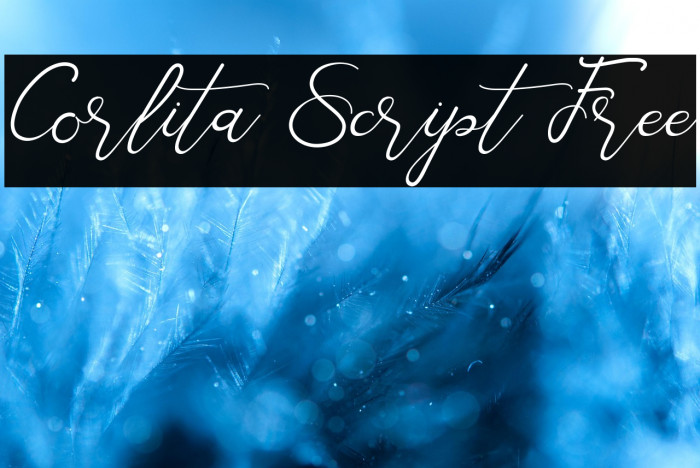 Corlita Script Free Example 2