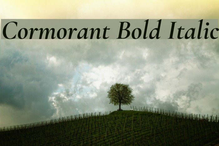 Cormorant Bold Italic Font examples
