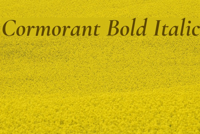 Cormorant Bold Italic Font examples