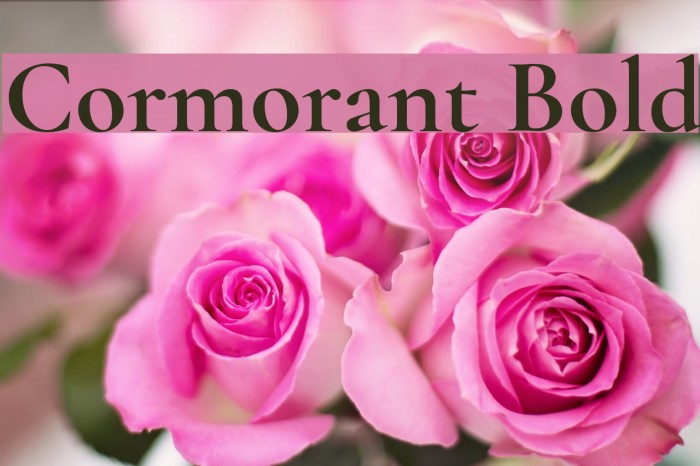 Cormorant Bold Font examples