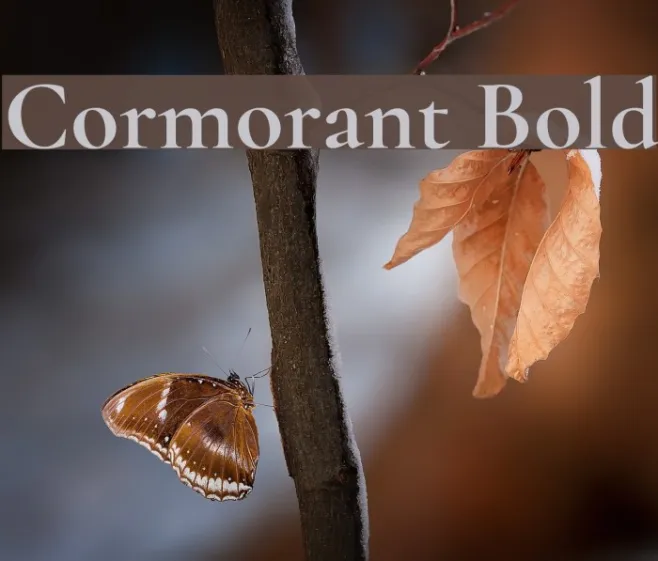 Cormorant Bold Example 2