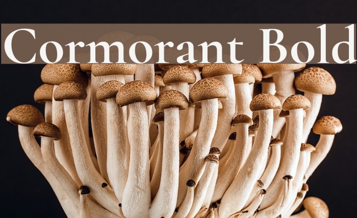 Cormorant Bold Font examples