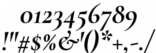 Cormorant Garamond Bold Italic Font OTHER CHARS