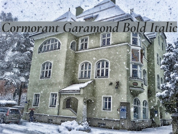 Cormorant Garamond Bold Italic Font examples