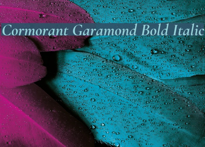 Шрифт cormorant garamond