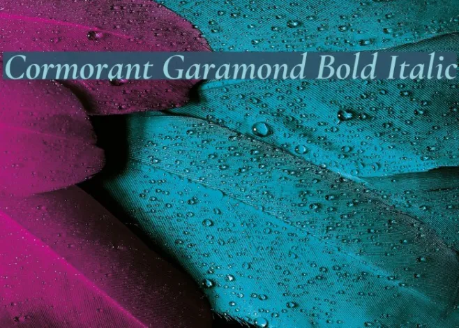 Cormorant Garamond Bold Italic Example 3
