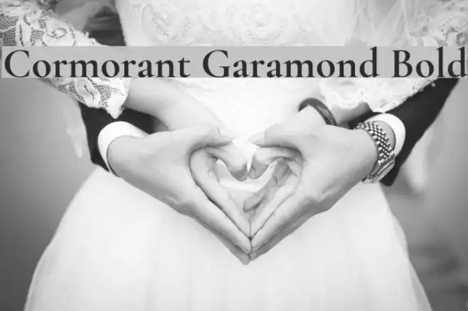 Cormorant Garamond Bold Font examples