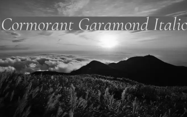 Cormorant Garamond Italic Font examples