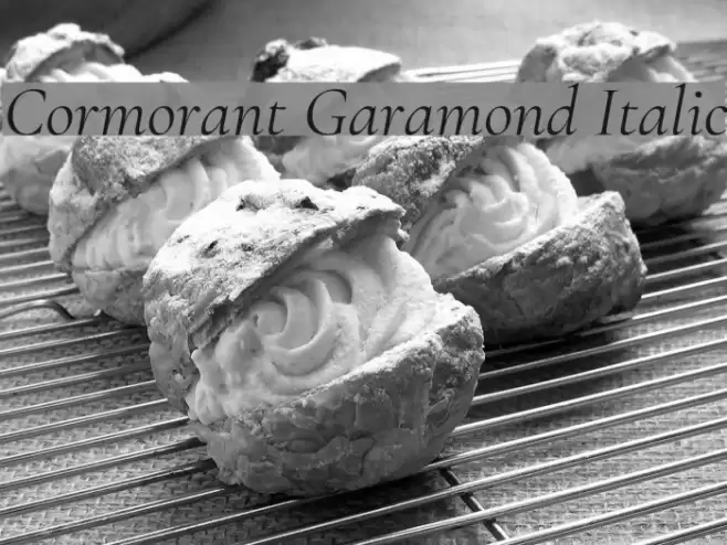 Cormorant Garamond Italic Font examples