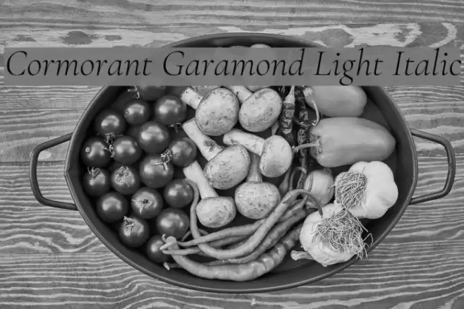 Cormorant Garamond Light Italic Font examples