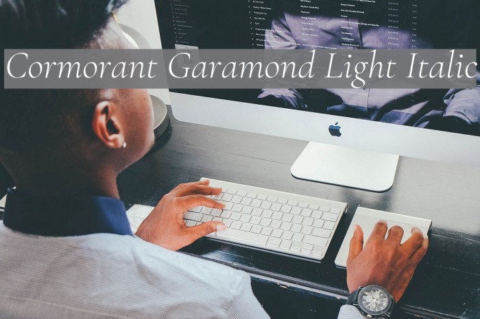 Cormorant Garamond Light Italic Font examples
