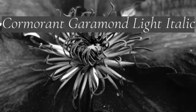 Cormorant Garamond Light Italic Font examples