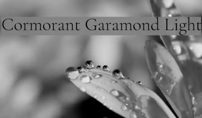 Cormorant Garamond Light Font examples