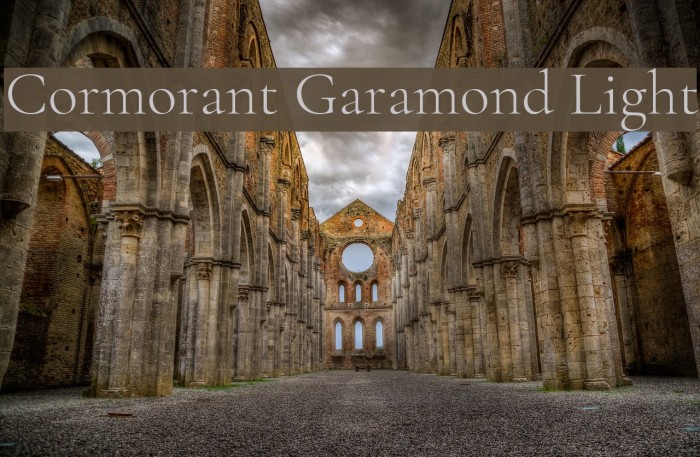 Cormorant Garamond Light Font examples