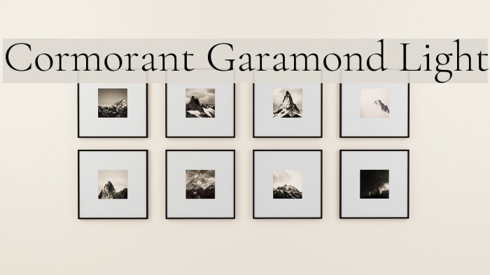 Cormorant Garamond Light Font examples