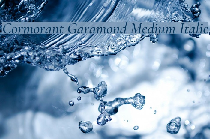 Cormorant Garamond Medium Italic Font examples