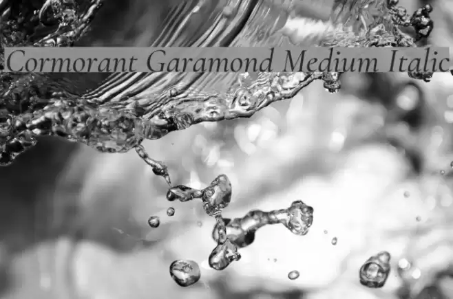 Cormorant Garamond Medium Italic  examples