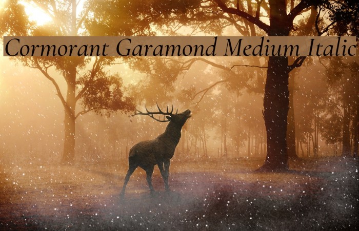 Cormorant Garamond Medium Italic Font examples
