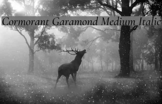 Cormorant Garamond Medium Italic  examples