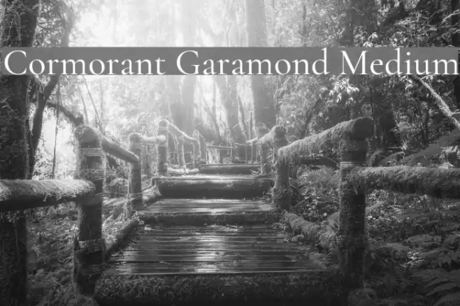 Cormorant Garamond Medium Font examples