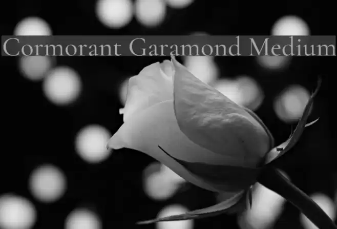 Cormorant Garamond Medium Font examples