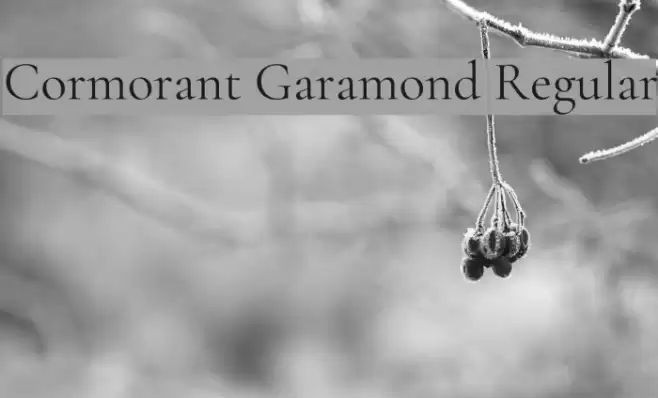Cormorant Garamond Regular Font examples