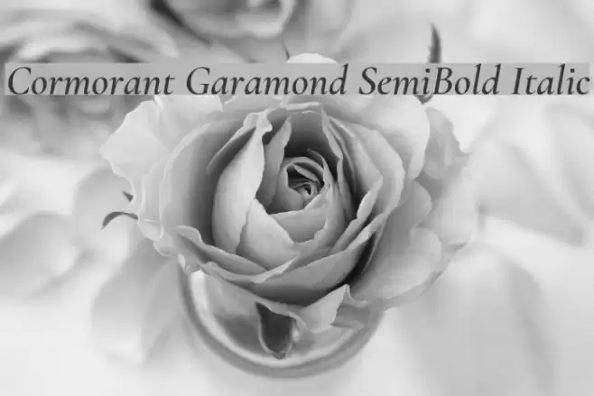 Cormorant Garamond SemiBold Italic Font examples
