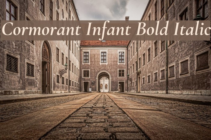 Cormorant Infant Bold Italic Font examples
