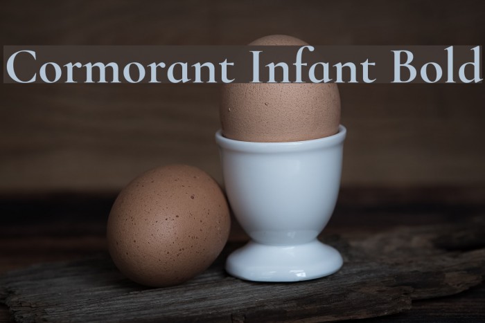 Cormorant Infant Bold Font examples