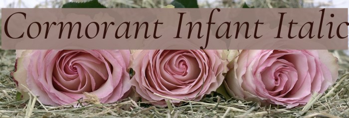 Cormorant Infant Italic Font examples