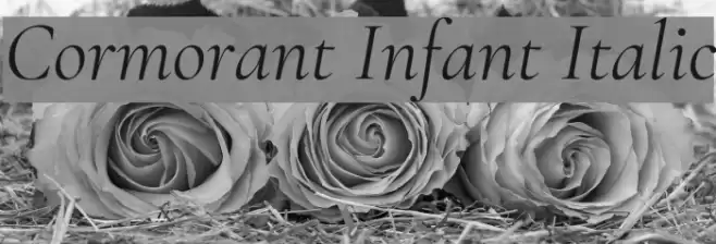 Cormorant Infant Italic Font examples