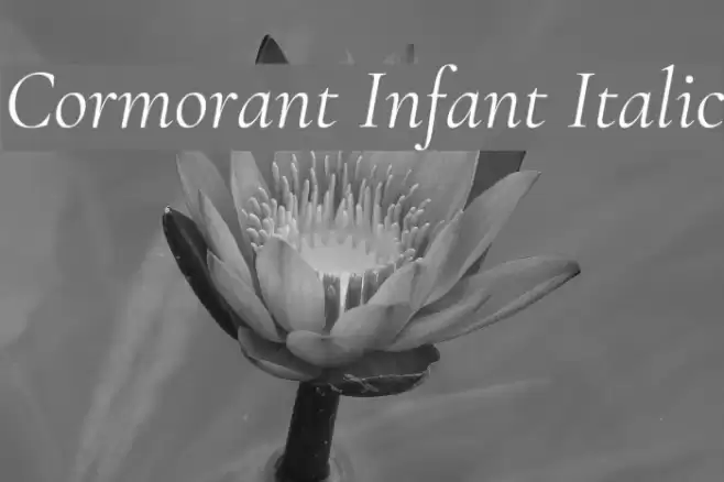 Cormorant Infant Italic Font examples