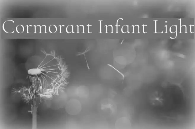 Cormorant Infant Light Font examples