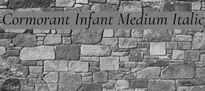 Cormorant Infant Medium Italic Font examples