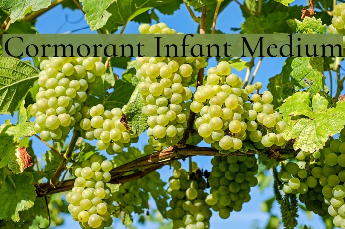 Cormorant Infant Medium Font examples