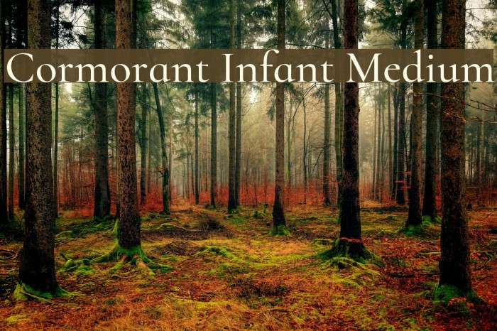 Cormorant Infant Medium Font examples