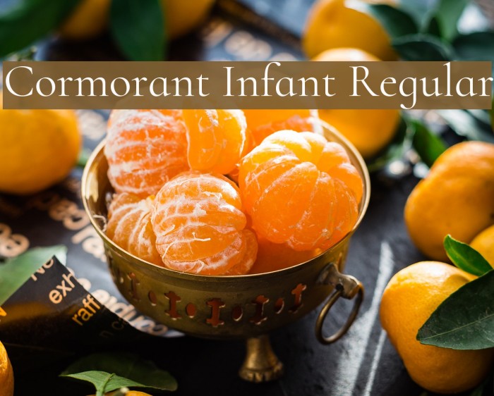 Cormorant Infant Regular Font examples