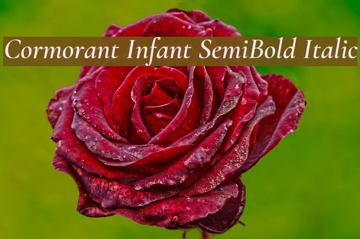 Cormorant Infant SemiBold Italic Font examples