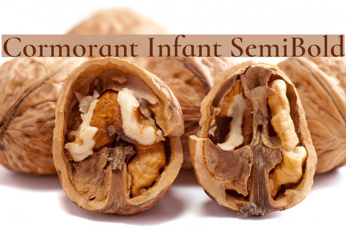 Cormorant Infant SemiBold Font examples