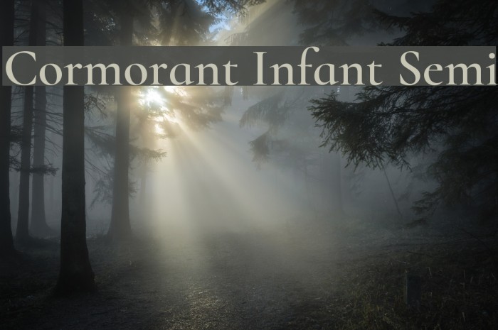 Cormorant Infant Semi Font examples