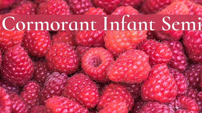 Cormorant Infant Semi Font examples