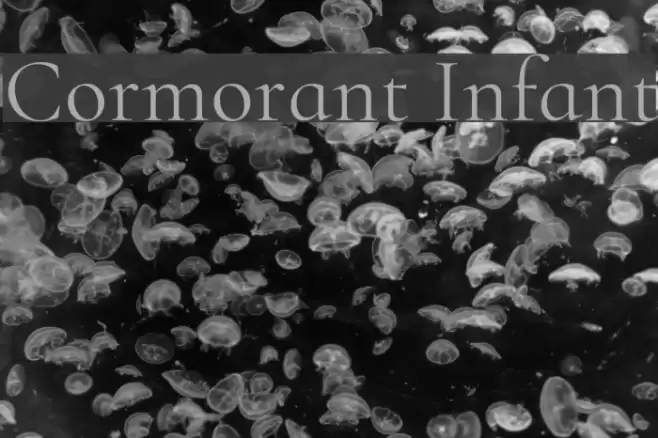 Cormorant Infant Font examples