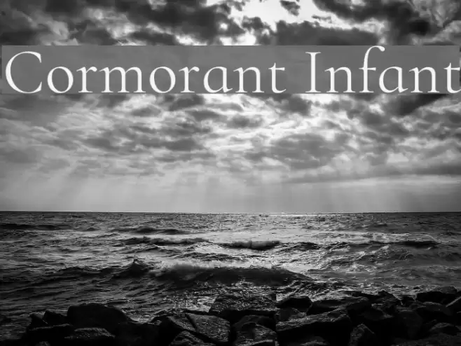 Cormorant Infant Font examples