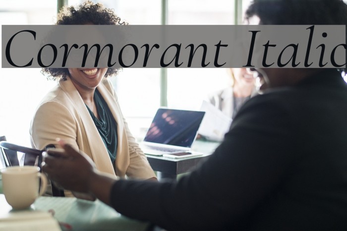 Cormorant Italic Font examples