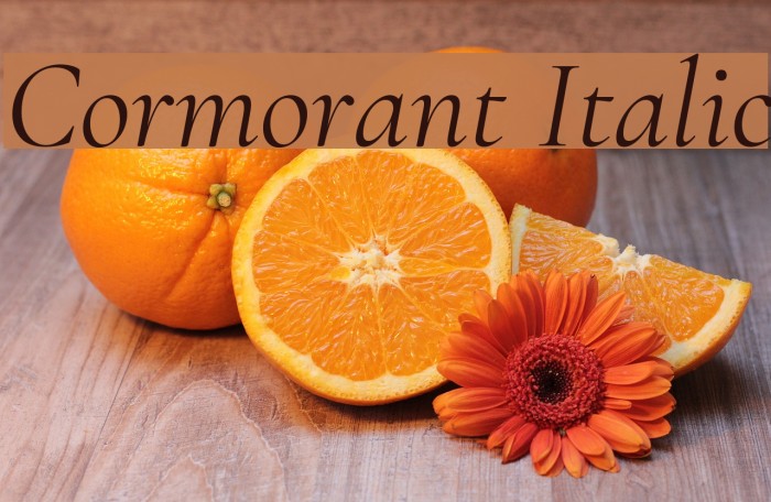 Cormorant Italic Font examples