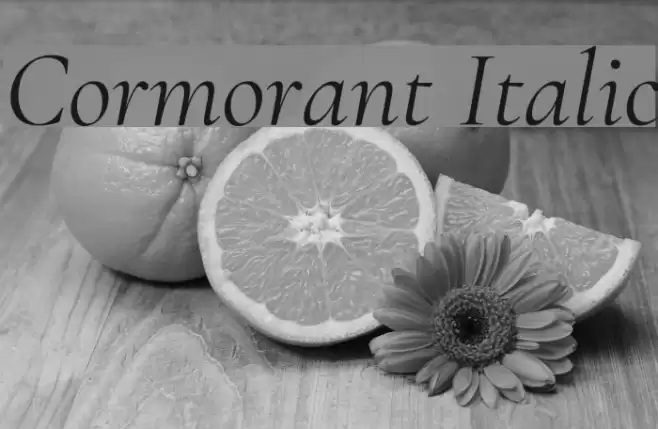 Cormorant Italic  examples