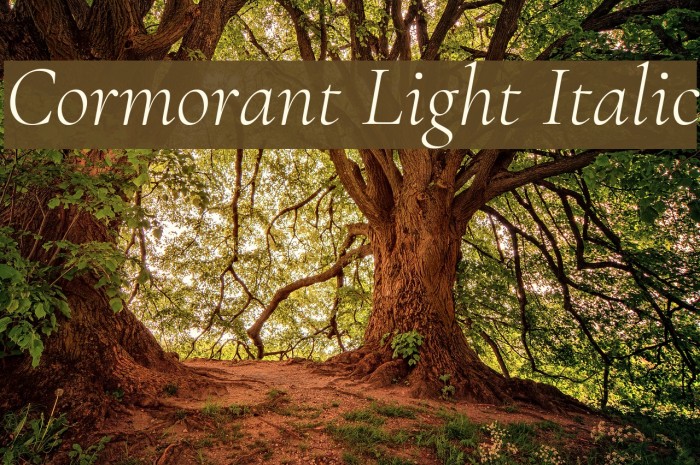 Cormorant Light Italic Font examples