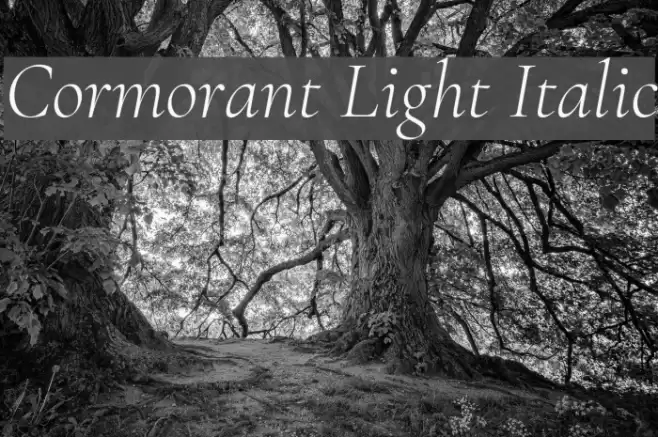 Cormorant Light Italic フォント examples